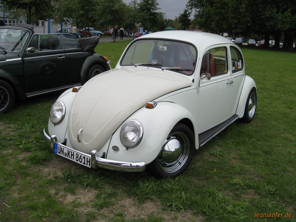 15.08.2010 RE-BEETLE 2010 - Bild 63