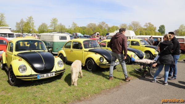 Maikäfertreffen 2023 - Bild 74