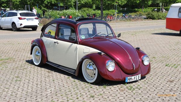 Maikäfertreffen 2025 - Bild 74