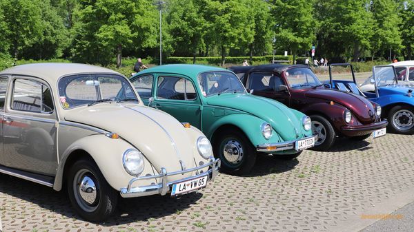 Maikäfertreffen 2025 - Bild 75