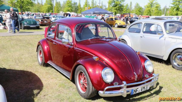 Maikäfertreffen 2026 - Bild 77